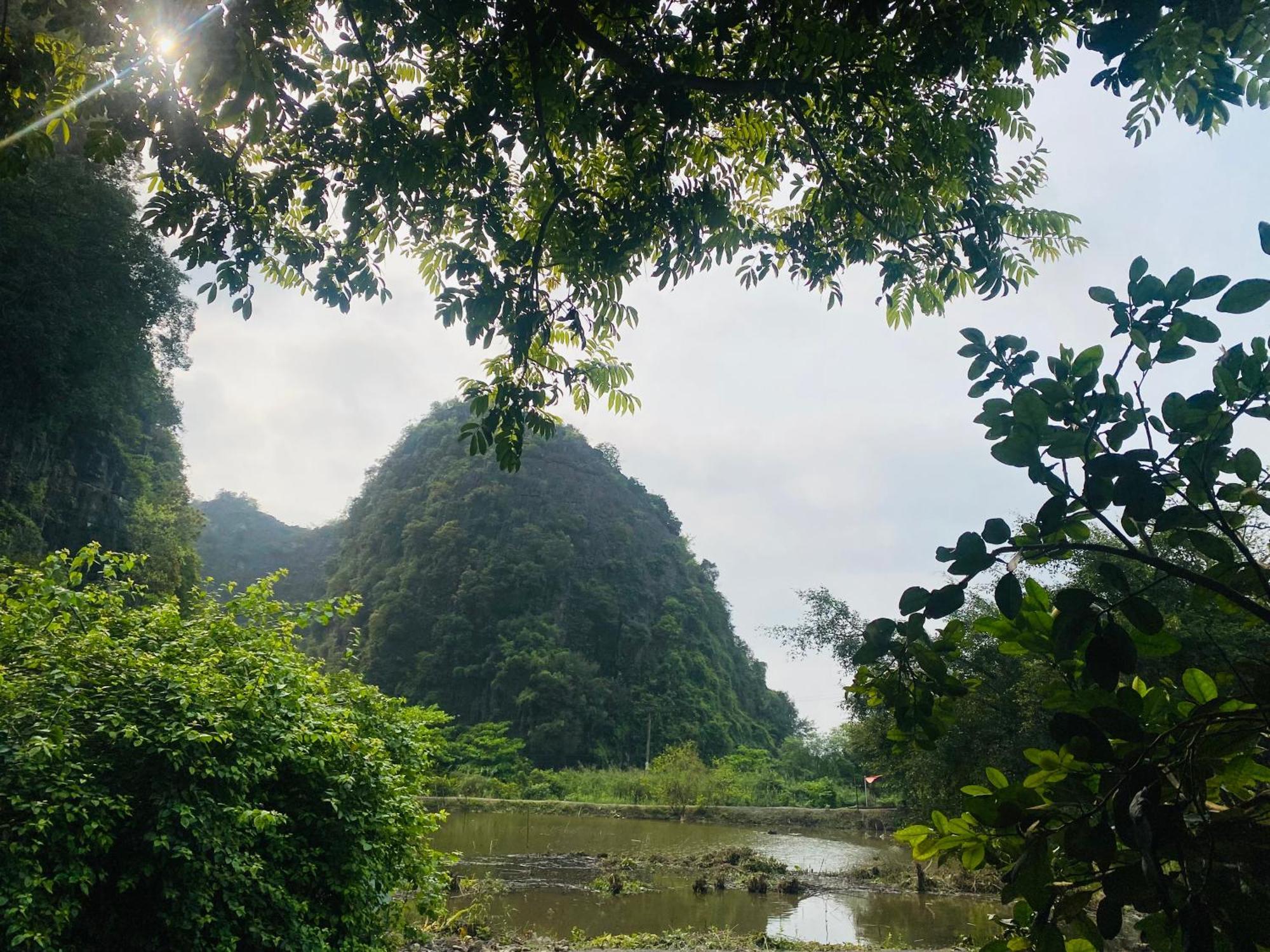Tamcoc Viet Tan Homestay & Garden Ninh Binh Buitenkant foto