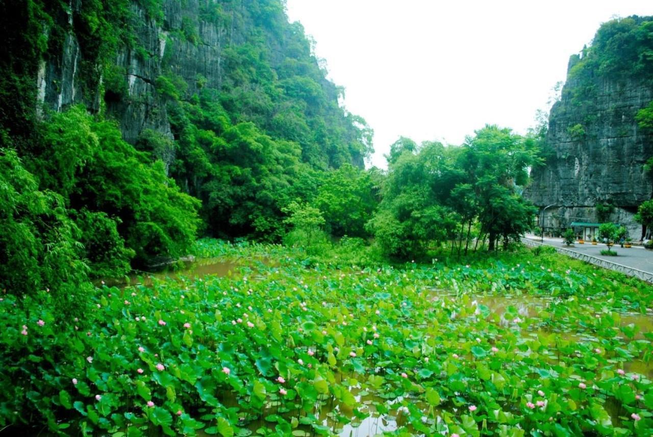 Tamcoc Viet Tan Homestay & Garden Ninh Binh Buitenkant foto