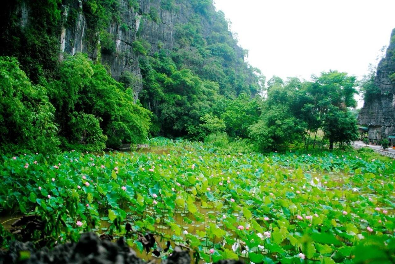 Tamcoc Viet Tan Homestay & Garden Ninh Binh Buitenkant foto