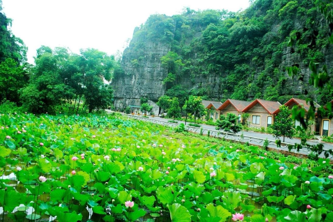 Tamcoc Viet Tan Homestay & Garden Ninh Binh Buitenkant foto