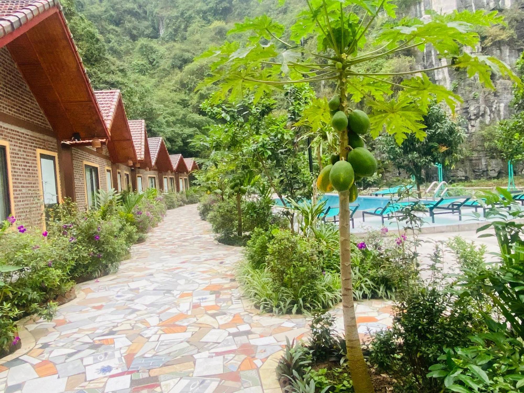 Tamcoc Viet Tan Homestay & Garden Ninh Binh Buitenkant foto